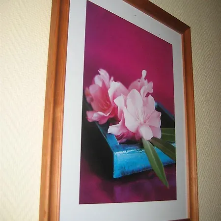 Prado Avec Parking - Proche Zenith