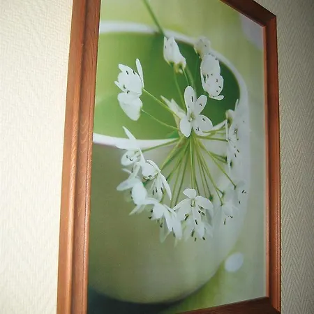 Otel Prado Avec Parking - Proche Zenith 3*