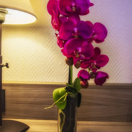 Prado Avec Parking - Proche Zenith 3*