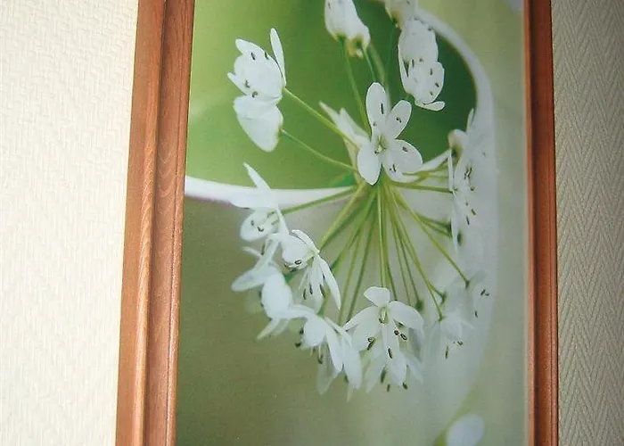 Отель Prado Avec Parking - Proche Zenith 3*