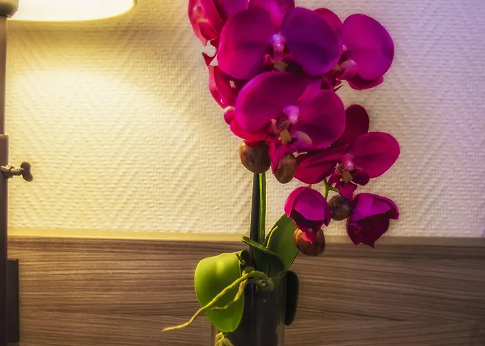 Prado Avec Parking - Proche Zenith 3*